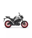 Gasoline motorcycle