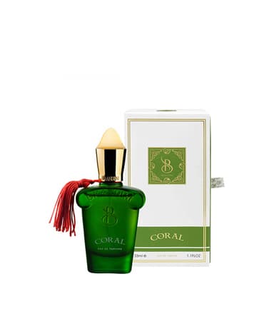 عطر جیبی مردانه برندینی مدل Coral حجم 33 میلی لیتر