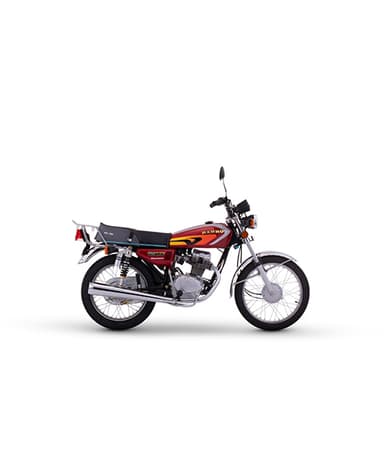 موتور سیکلت کثیر مدل رهرو CG125 سال 1402