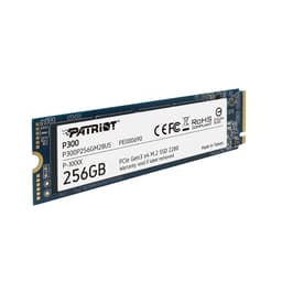 اس اس دی اینترنال پتریوت مدل P300