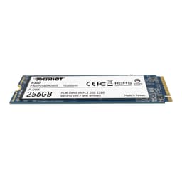 اس اس دی اینترنال پتریوت مدل P300