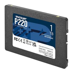 اس اس دی اینترنال پتریوت مدل P220
