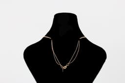 گردنبند طلا 18 عیار زنانه طلانیوم طرح روژا مدل تیفانی کد 17