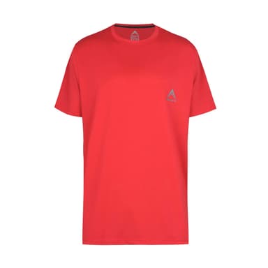 تیشرت ورزشی مردانه رادیس فیت مدل Dri-Fit