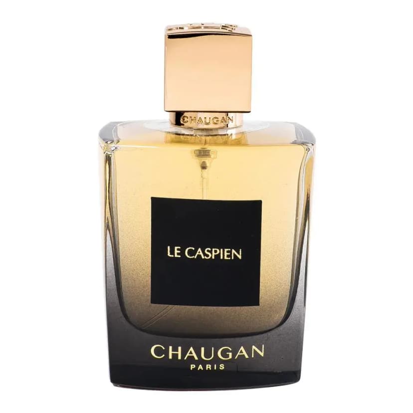 ادو پرفیوم مردانه چوگان مدل Le Caspien حجم 100 میلی‌لیتر