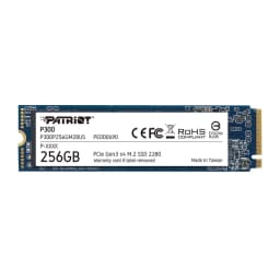اس اس دی اینترنال پتریوت مدل P300