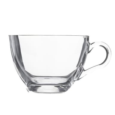 فنجان پاشاباغچه مدل بیسیک کد 55161 بسته 6 عددی